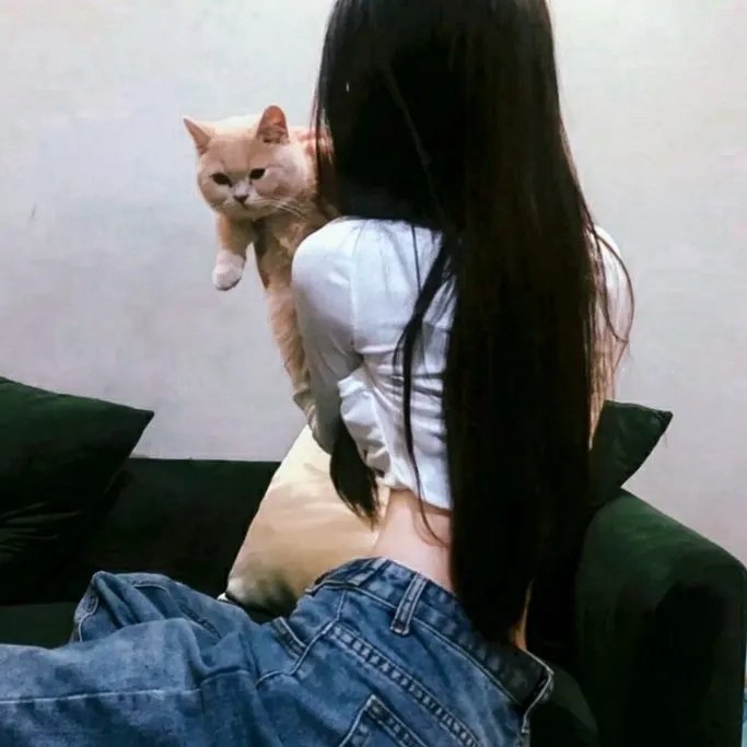 贺龙军长